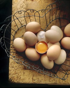 egg basket2